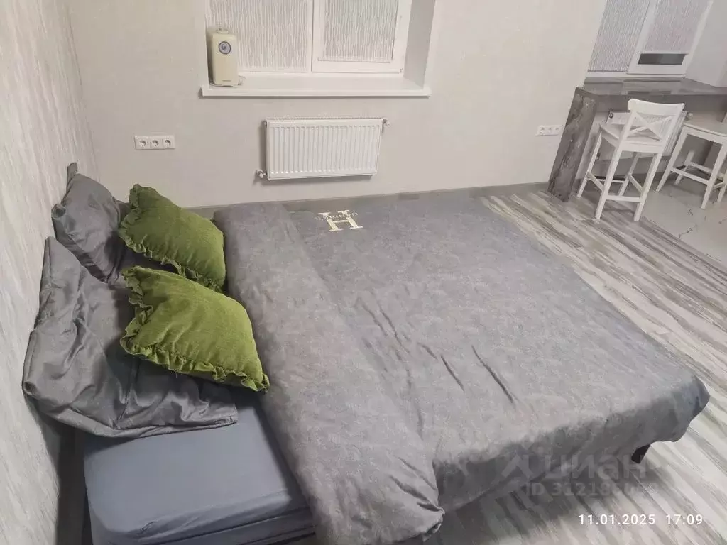 Студия Калужская область, Малоярославец Московская ул., 73А (30.0 м) - Фото 2