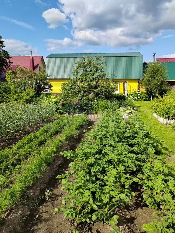 Дом 67,4 м на участке 7 сот. - Фото 0