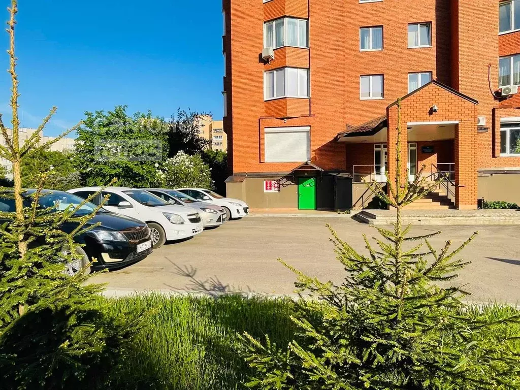 Торговая площадь в Московская область, Черноголовка Центральная ул., ... - Фото 1