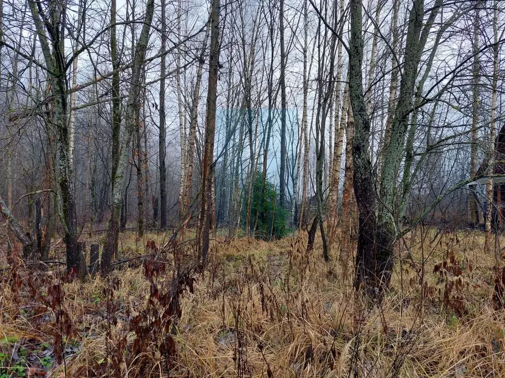 Участок в Москва Тетеринки СНТ, 3 (5.98 сот.) - Фото 1