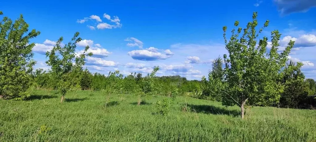 Участок в Алтайский край, Первомайский район, пос. Новый ул. ... - Фото 1