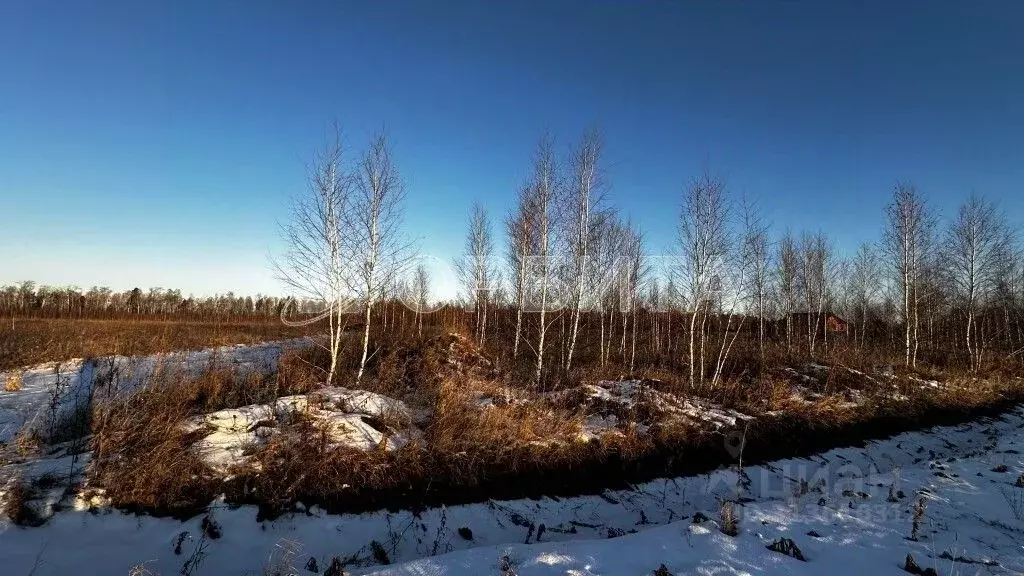 Участок в Тюменская область, Тюменский район, Казарма урочище  (5.14 ... - Фото 0