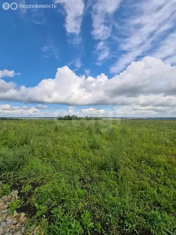 Участок в Лямбирский район, село Берсеневка (9.66 м) - Фото 0