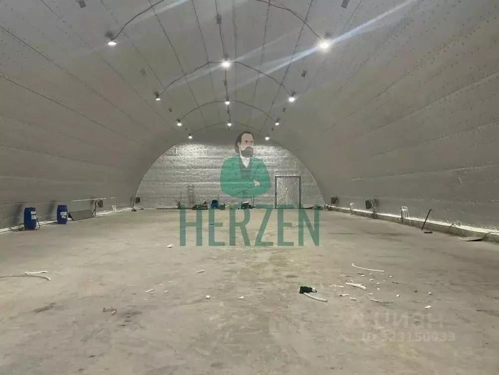 Производственное помещение в Московская область, Чехов Венюково мкр, ... - Фото 2