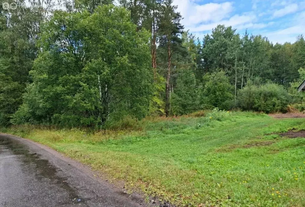 Участок в Выборгский район, Рощинское городское поселение, посёлок ... - Фото 2