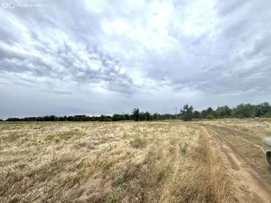 Участок в Волгодонск, Мурманская улица, 36 (6 м) - Фото 1