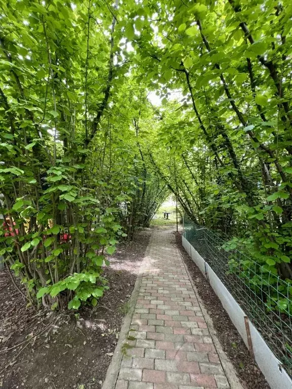 Участок в Краснодарский край, Туапсинский муниципальный округ, ... - Фото 1