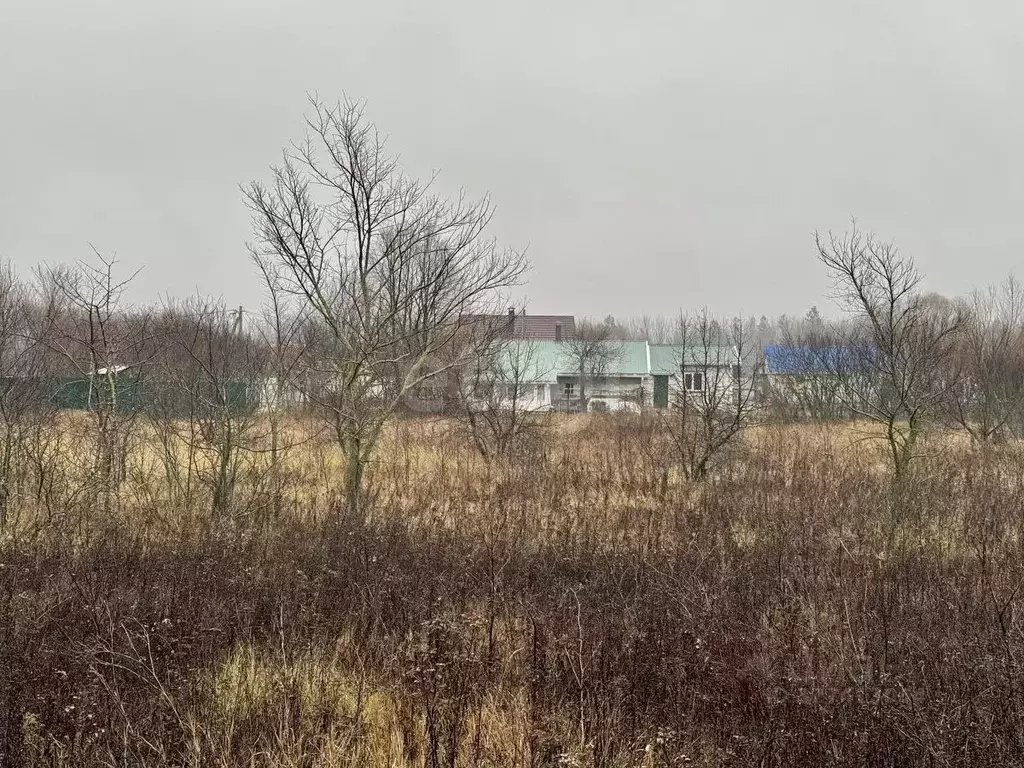 Участок в Воронежская область, с. Новая Усмань ул. Октябрьская, 26 ... - Фото 1