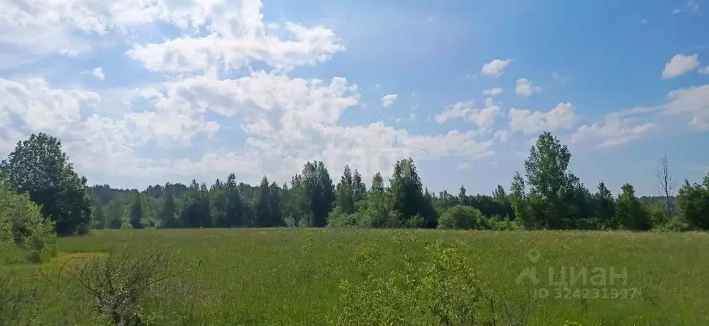 Участок в Ленинградская область, Кириши Сиреневый бул. (12.0 сот.) - Фото 2