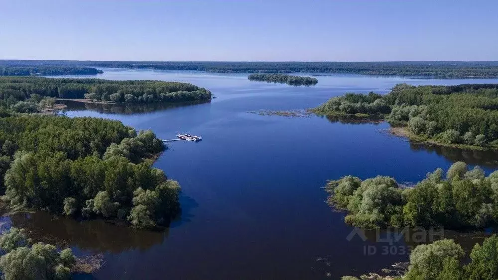 Участок в Московская область, Можайский городской округ, д. Семейники ... - Фото 1