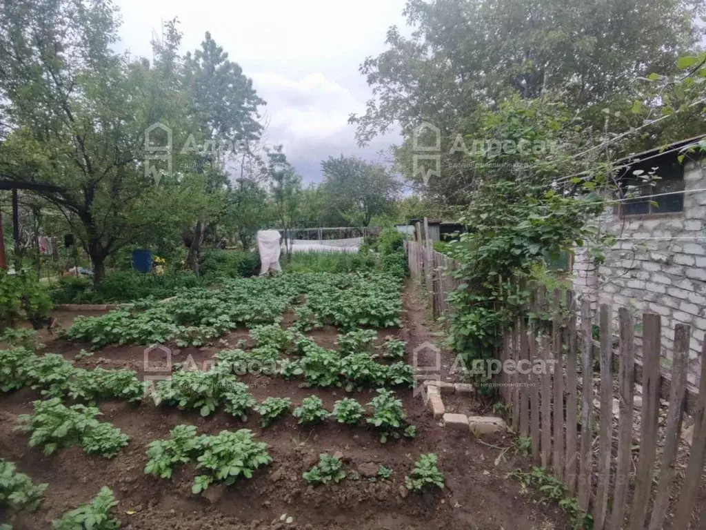 Дом в Волгоградская область, Волгоград Горчичник СНТ,  (22 м) - Фото 0