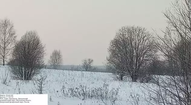 Участок в Московская область, Дмитровский муниципальный округ, д. ... - Фото 1