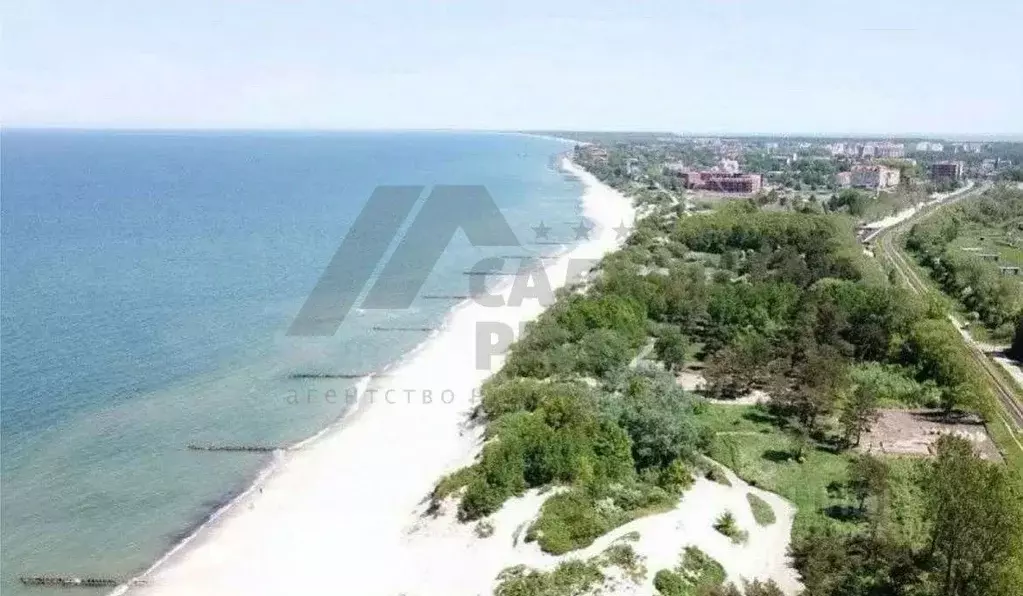 Участок в Калининградская область, Зеленоградск Прибой садоводческое ... - Фото 1