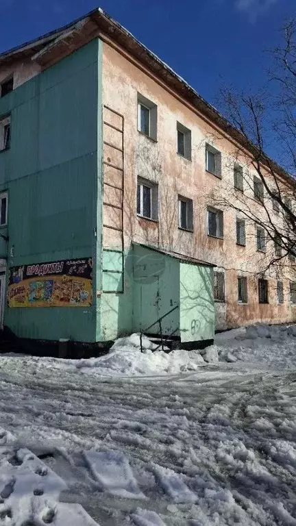 1-к кв. Камчатский край, Елизово Звездная ул., 4 (30.4 м) - Фото 1