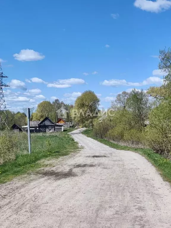 Участок в Брянская область, Выгоничский район, Утынское с/пос, д. ... - Фото 1