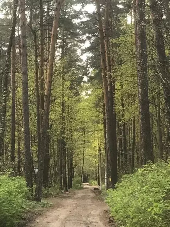 Дом в Московская область, Раменский муниципальный округ, Кратово пгт ... - Фото 2