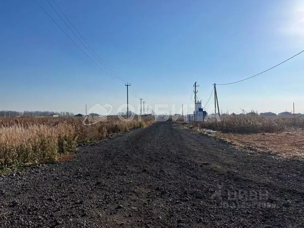 Участок в Тюменская область, Ялуторовский район, с. Бердюгино  (1910.0 ... - Фото 1