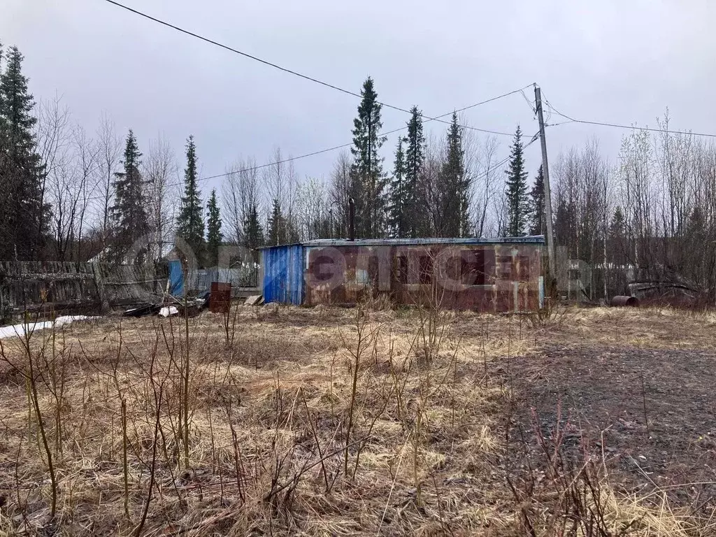 Участок в Мурманская область, Ковдорский муниципальный округ, Победа ... - Фото 0
