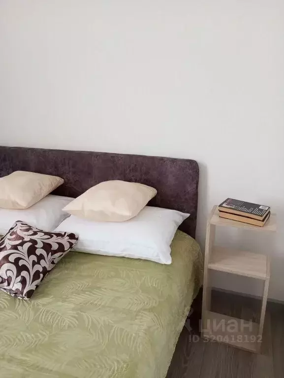 1-к кв. Московская область, Пущино Серпухов городской округ, ул. ... - Фото 2