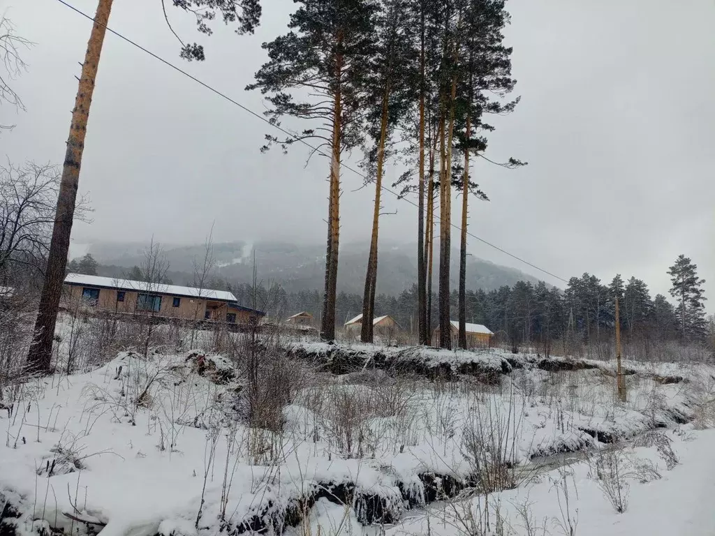 Участок в Алтай, Майминский район, Манжерокское с/пос, с. Озерное ул. ... - Фото 2
