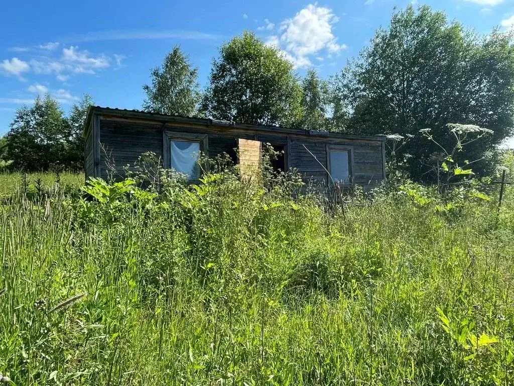 Участок в Московская область, Шаховская городской округ, д. Воютино ... - Фото 1