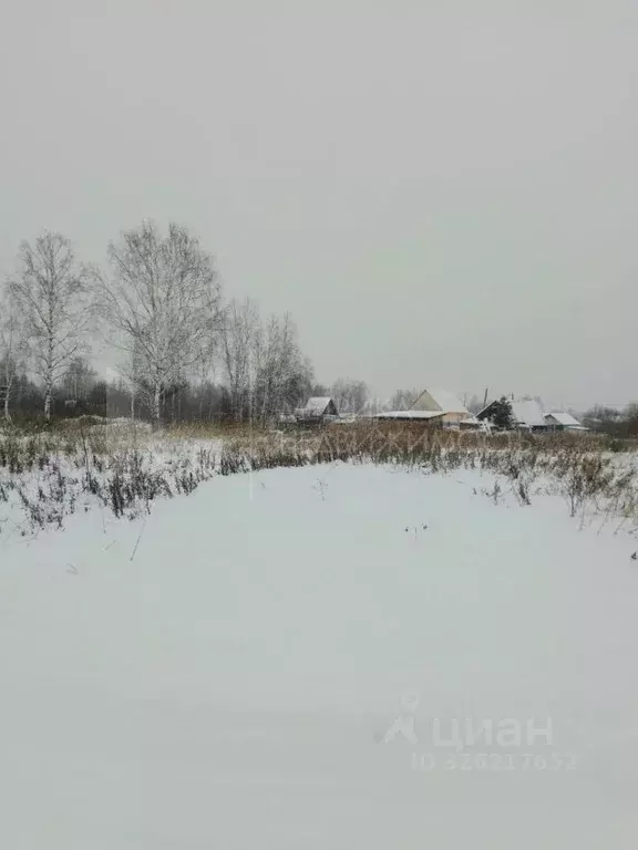 Участок в Тюменская область, Нижнетавдинский муниципальный округ, ... - Фото 1