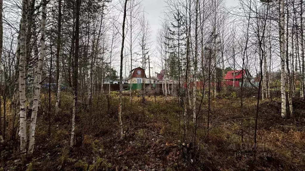 Участок в Архангельская область, Приморский муниципальный округ, ... - Фото 1