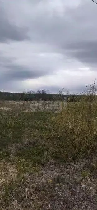 Участок в Свердловская область, Нижний Тагил ул. Жданова (9.8 сот.) - Фото 2