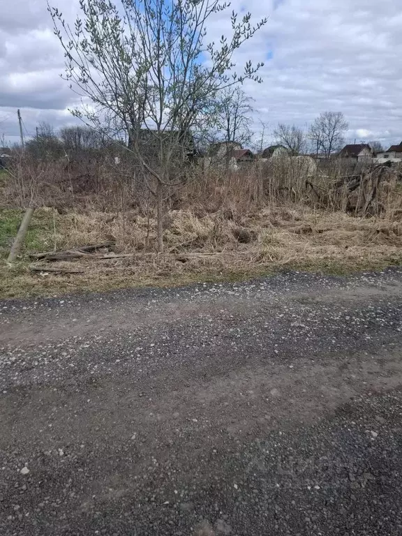 Участок в Новгородская область, Новгородский район, Панковское ... - Фото 2