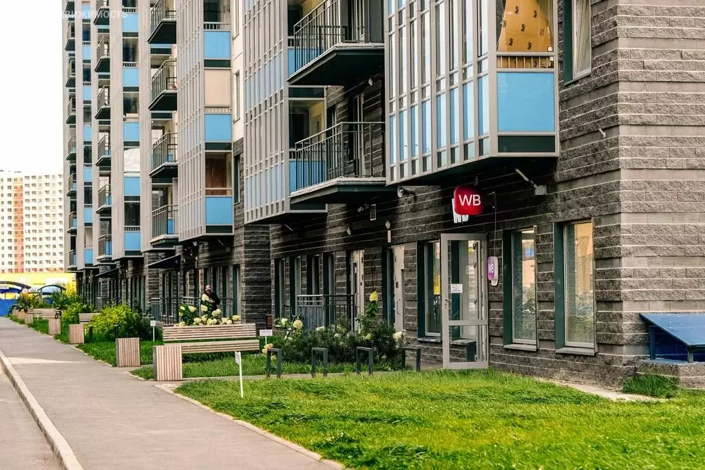 2-комнатная квартира: Мурино, Графская улица, 6к4 (50.4 м) - Фото 2