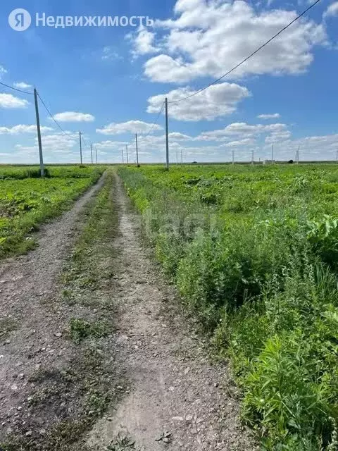 Участок в Тульская область, муниципальное образование Новомосковск, . - Фото 0