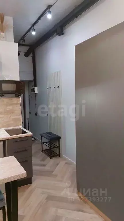 Студия Санкт-Петербург Большой Казачий пер., 10 (17.0 м) - Фото 2