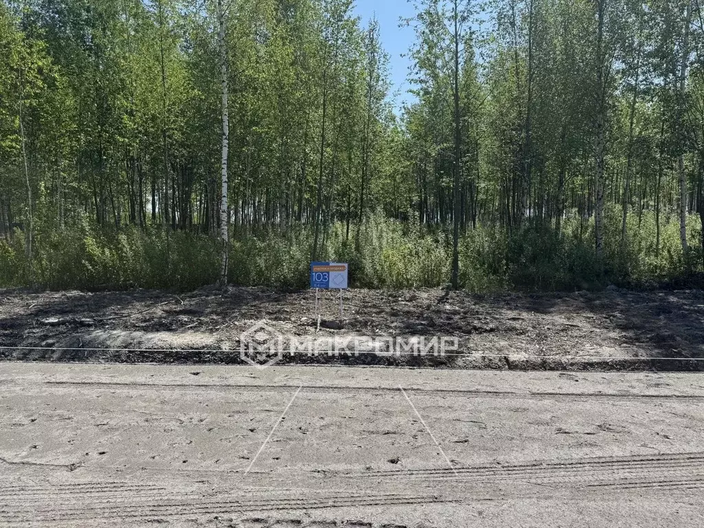 Участок в Санкт-Петербург, Санкт-Петербург, Павловск ул. Мичурина (8.4 ... - Фото 1