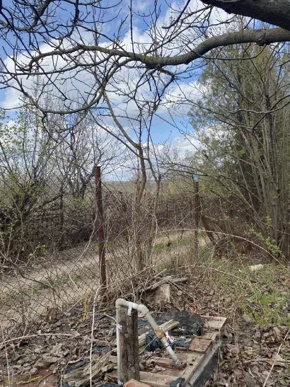 Участок в Ростовская область, Неклиновский район, с. Синявское, ... - Фото 2