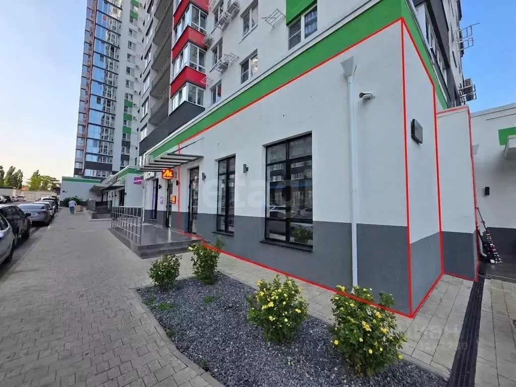 Помещение свободного назначения в Краснодарский край, Новороссийск ул. ... - Фото 1