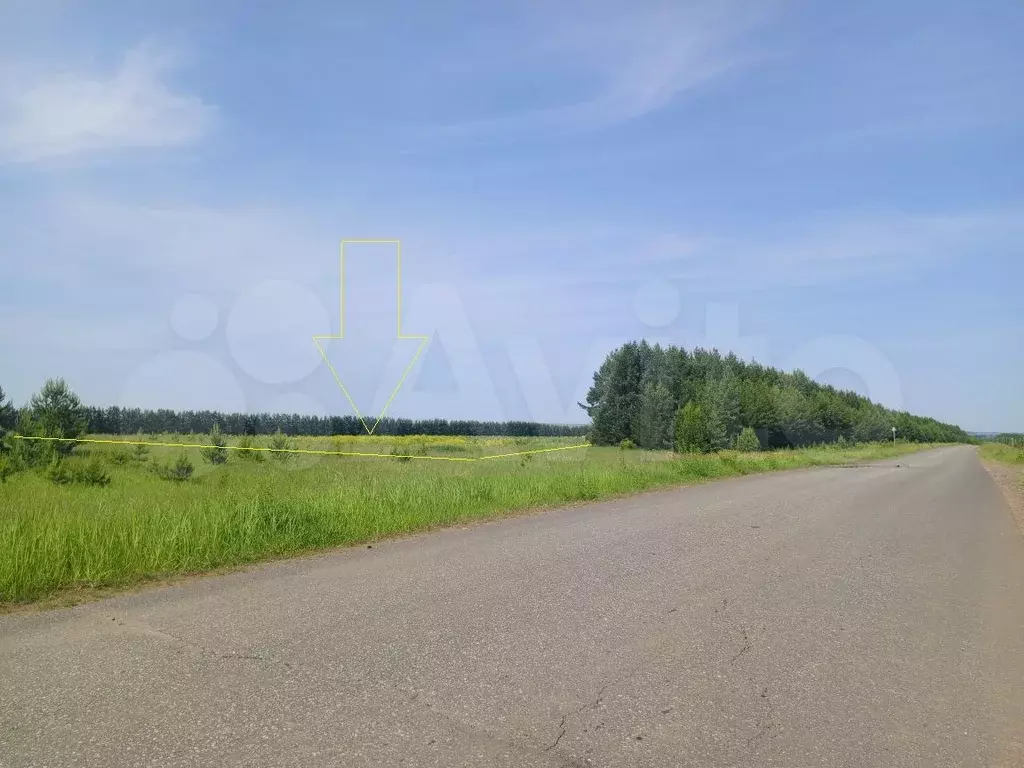 Участок 61,2 сот. (СНТ, ДНП) - Фото 0