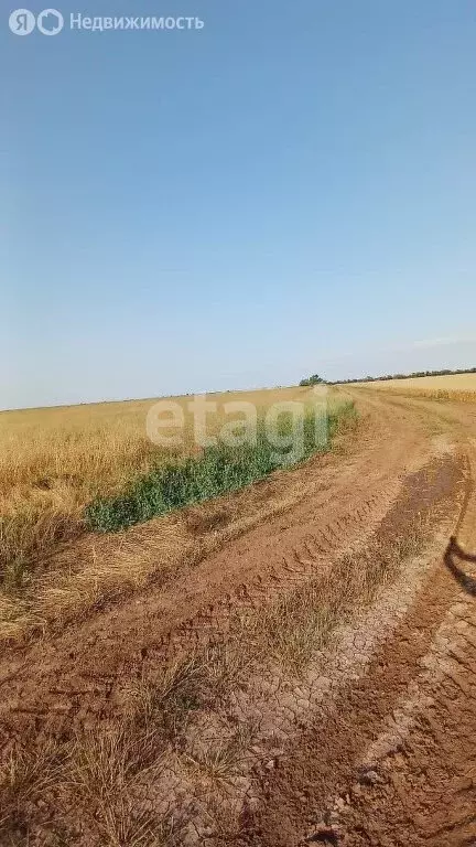 Участок в Сакский район, село Веселовка (25.32 м) - Фото 1