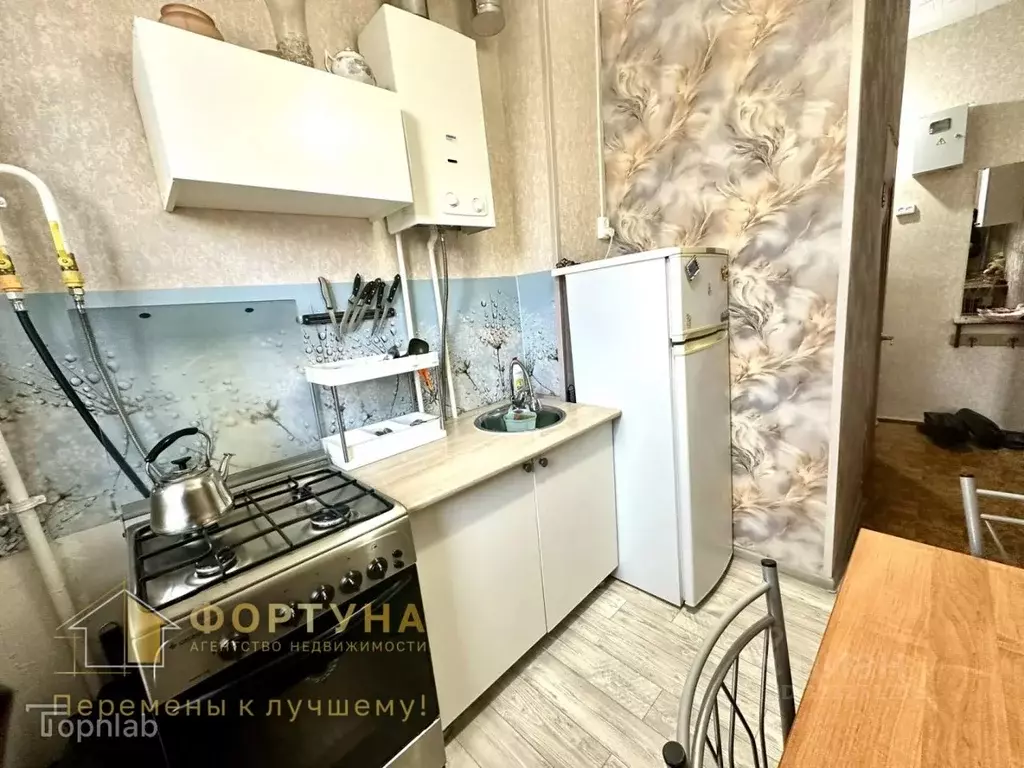 3-к кв. Нижегородская область, Бор ул. Филиппова, 4 (36.7 м) - Фото 2