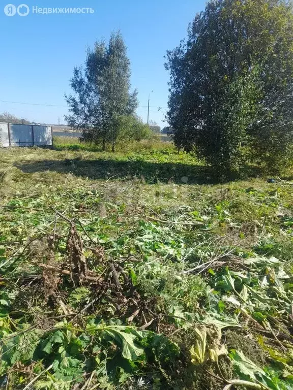 Участок в Московская область, городской округ Солнечногорск, деревня ... - Фото 0