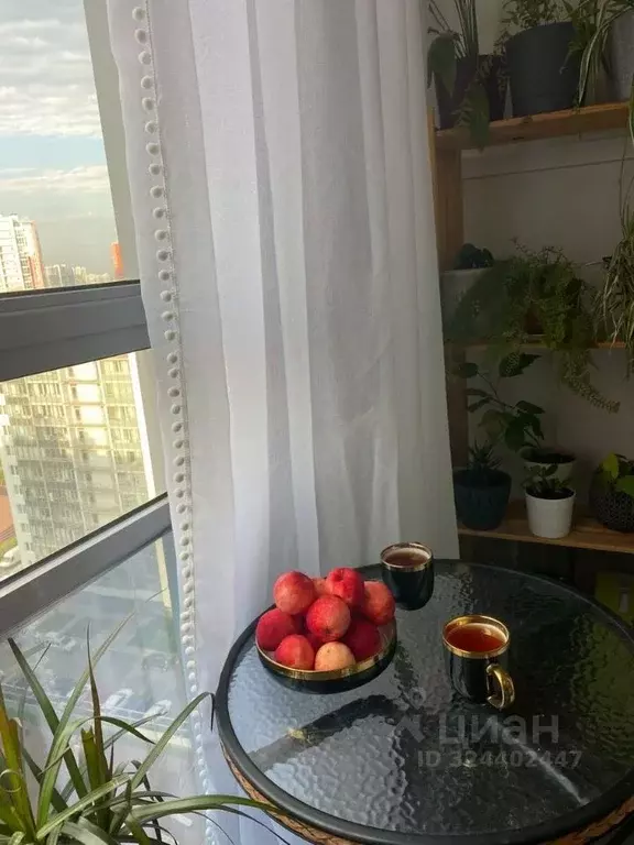 Студия Санкт-Петербург ул. Маршала Казакова, 70к1 (29.6 м) - Фото 2