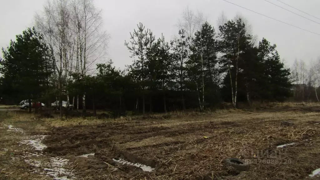 Участок в Московская область, Рузский муниципальный округ, пос. ... - Фото 2