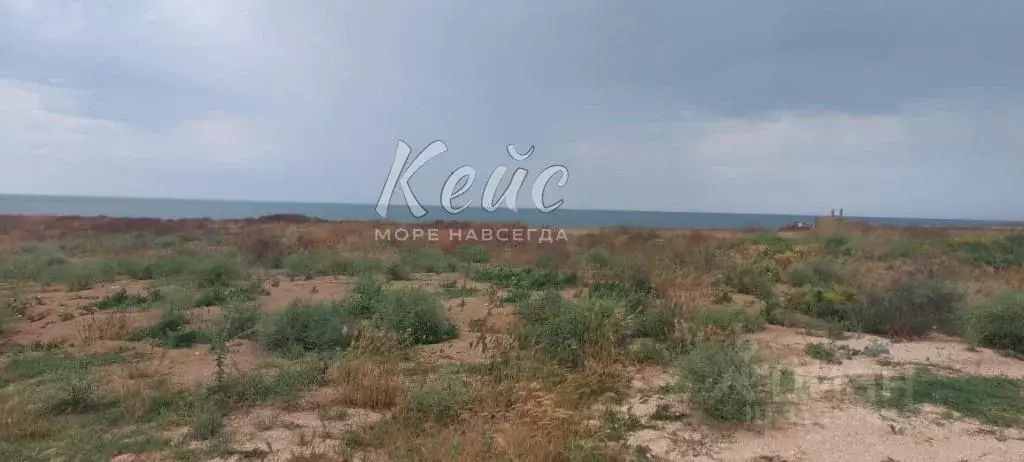 Участок в Крым, Ленинский район, Семисотское с/пос, с. Каменское ул. ... - Фото 0