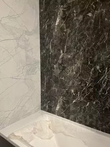 3-к кв. Томская область, Томск ул. Елизаровых, 19/1 (56.0 м) - Фото 2