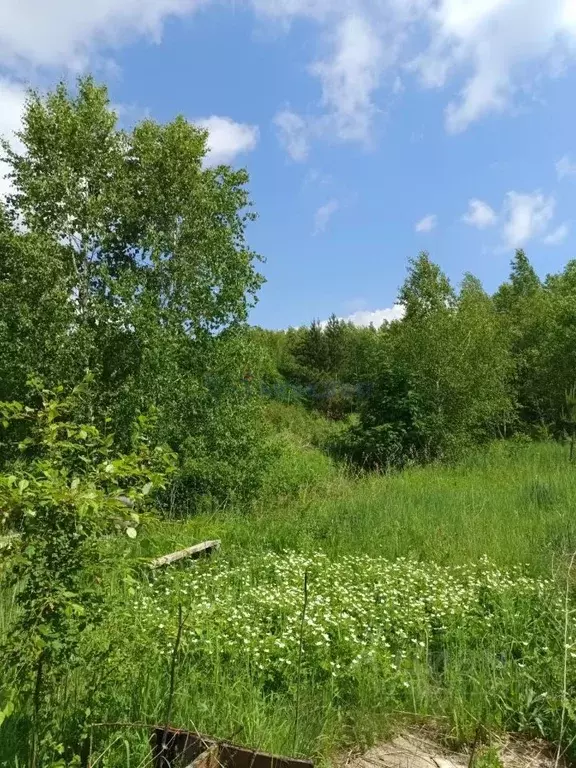 Участок в Нижегородская область, Кстовский муниципальный округ, с. ... - Фото 0