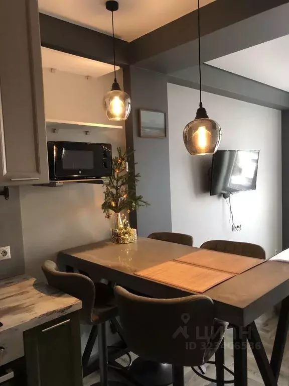 Студия Краснодарский край, Сочи Вишневая ул., 5А (30.4 м) - Фото 0