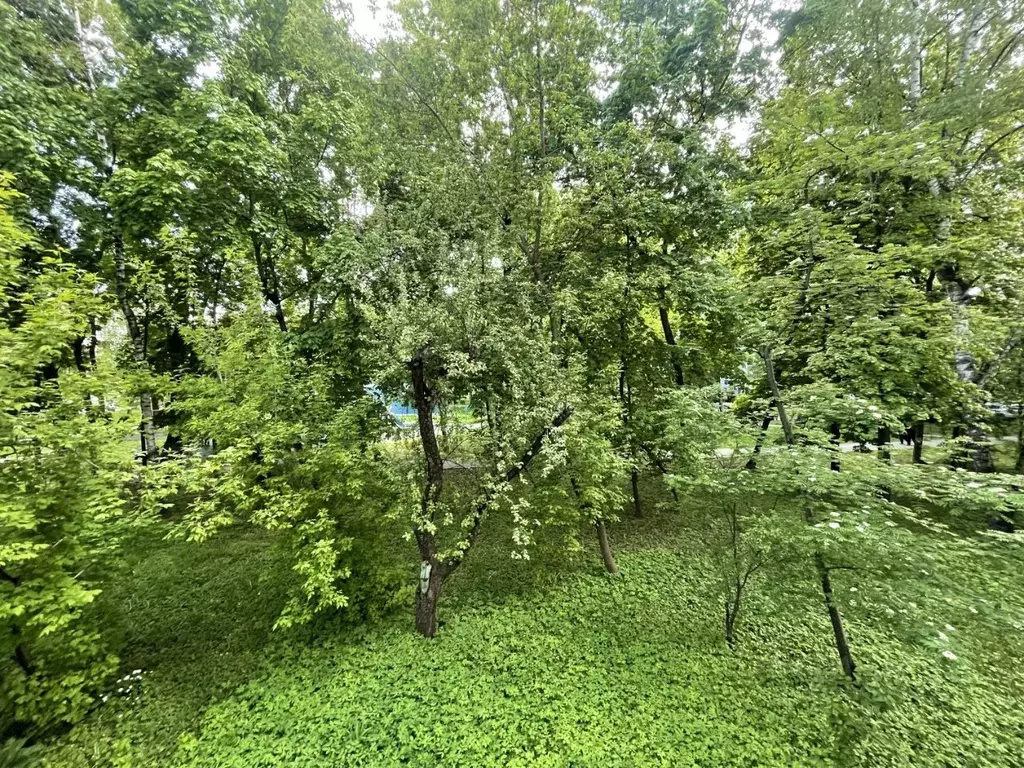 2-к кв. Москва ул. Вострухина, 7 (45.4 м) - Фото 0