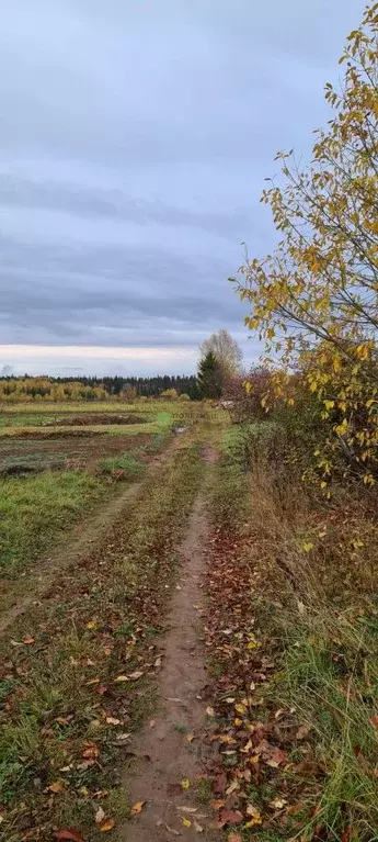 Участок в Удмуртия, Якшур-Бодьинский район, д. Малая Итча  (50.0 сот.) - Фото 1