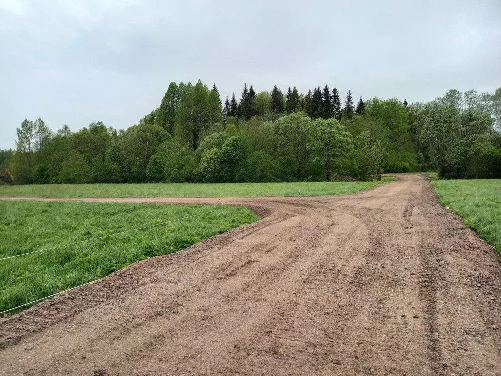 Купить Земельный Участок Выборгском Районе