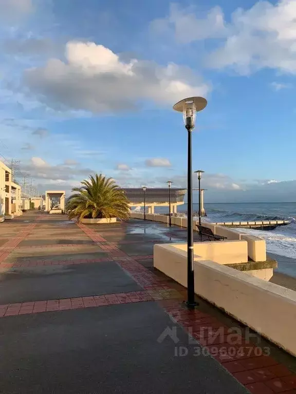 Дом в Краснодарский край, Сочи Новороссийское ш., 137 (350 м) - Фото 2