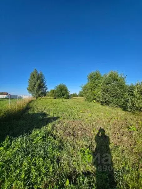 Участок в Москва д. Власово, 44с1 (9.0 сот.) - Фото 2